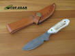 Silver Stag Whitetail Caper Knife with Stag Handle - WC3000