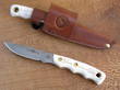Knives of Alaska Alpha Wolf Knife Stag Handle, D2 Tool Steel - 00327FG