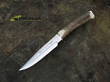 Muela Tejon-16 Hunting Knife, Stag Handle - 16