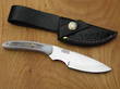 Silver Stag D2 Shires Caper Knife with Stag Handle - SHS2.75