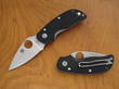 Spyderco Cat Pocket Knife G10 Handle - C129GP