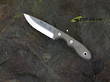 Tops Mini Scandi MSK 2.5 Knife, Rockies Edition, 1095 High Catbon Steel, Tan Micarta Handle - TPMSKTBF