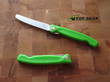 Victorinox Swiss Classic Foldable Paring Knife with Serrated Edge, Green Polypropylene Handle - 6.7831.F4B